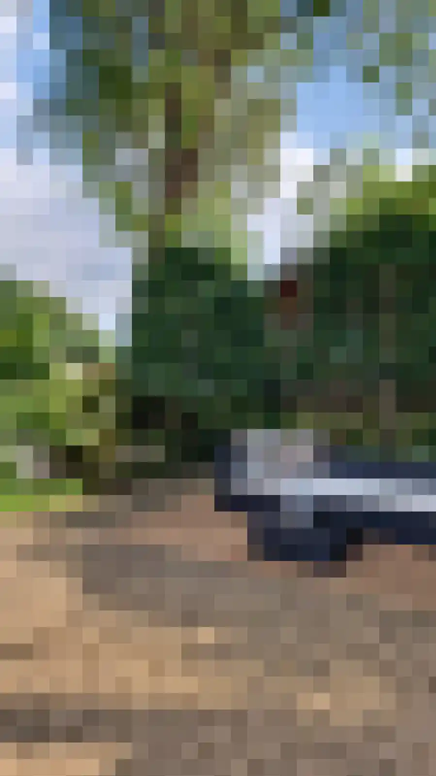 Graaf Floris V weg 37 68 Hollandsche Rading thumbnail 37
