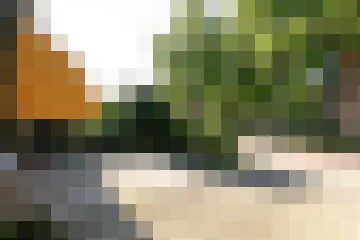 Graaf Florishof 1 Loenen aan de Vecht thumbnail 29