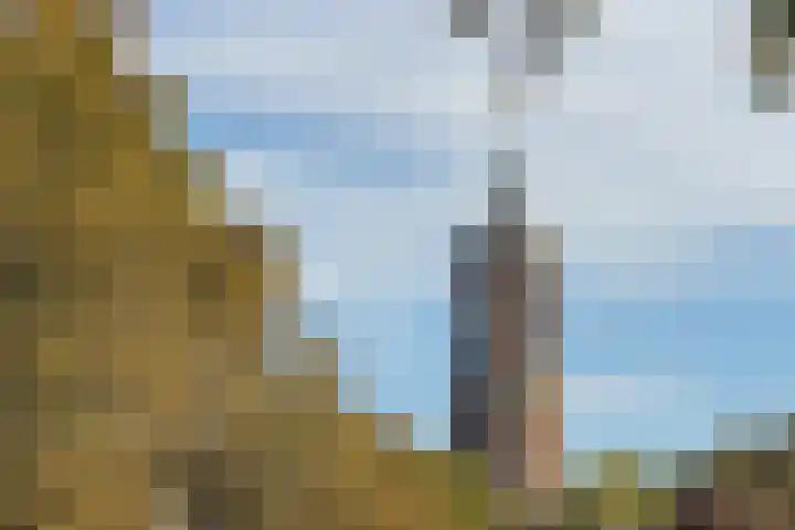 Graaf Florishof 1 Loenen aan de Vecht thumbnail 30