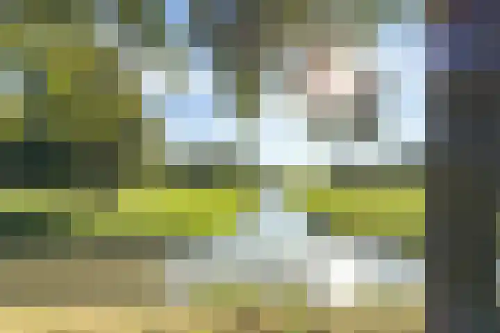 Graaf Florishof 1 Loenen aan de Vecht thumbnail 31