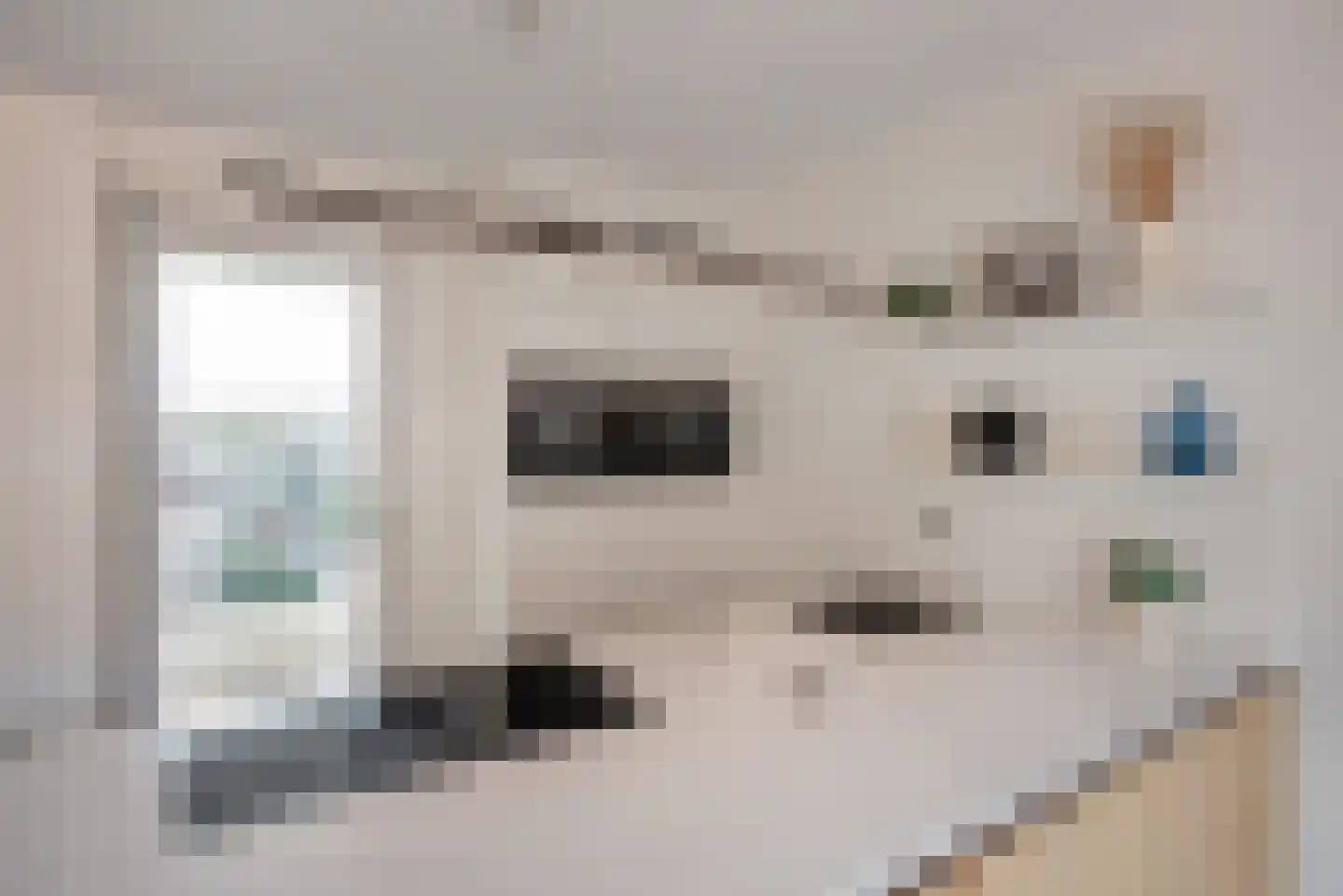 Graaf Floriskade 54 Delft thumbnail 22