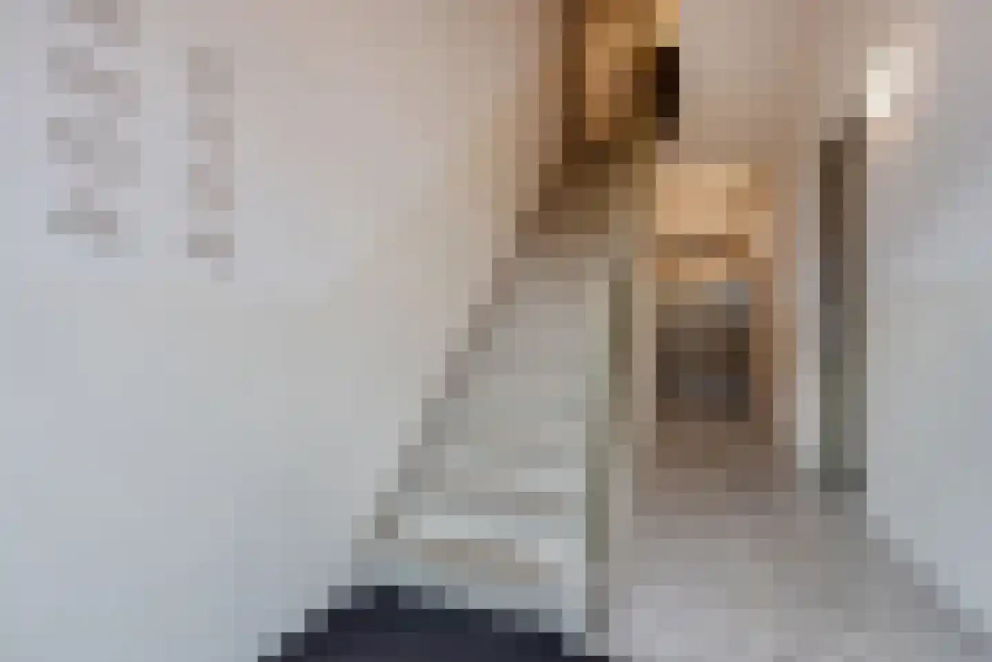 Graaf Floriskade 54 Delft thumbnail 8