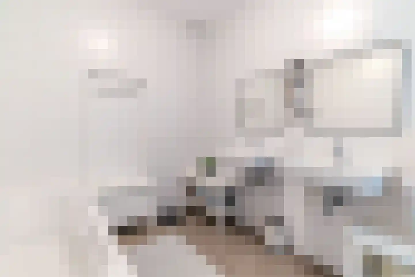 Graaf Floriskade 68 Delft thumbnail 36