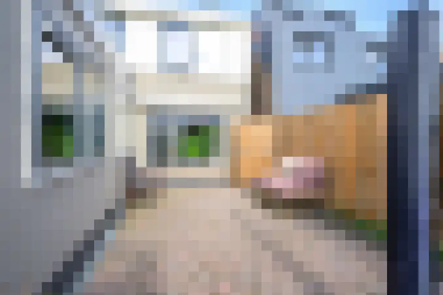 Graaf Florislaan 11 Medemblik thumbnail 30
