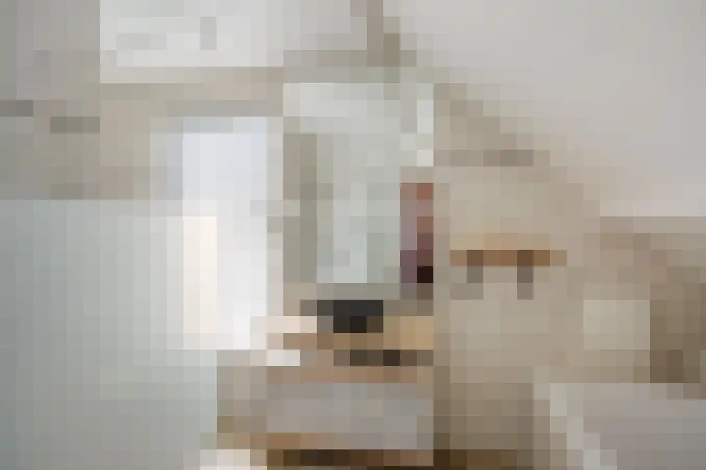 Graaf Florislaan 11 Vogelenzang thumbnail 4