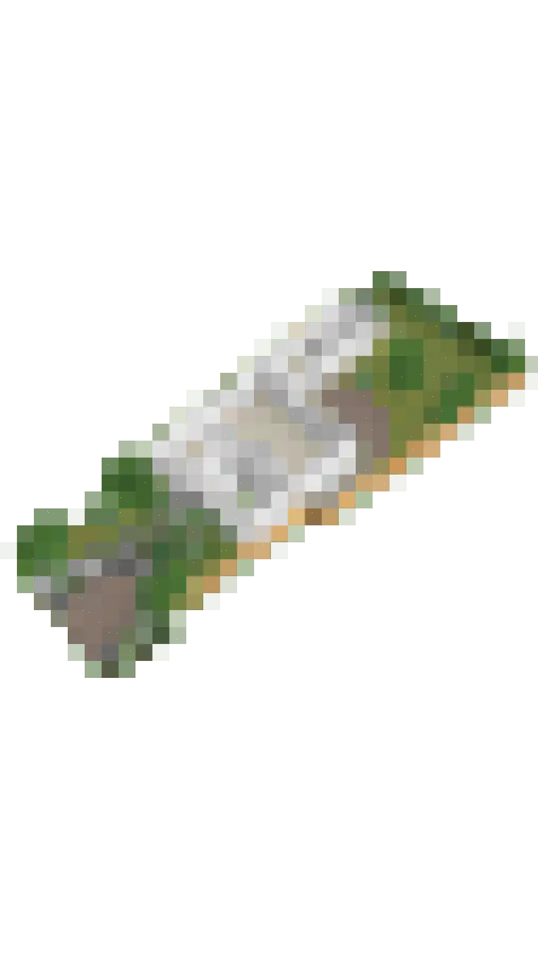 Graaf Florislaan 11 Vogelenzang thumbnail 42