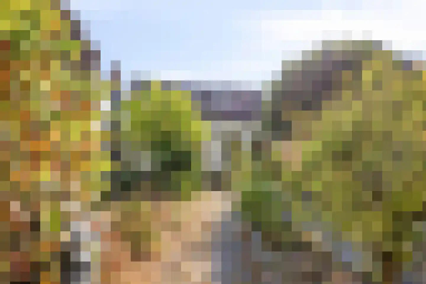 Graaf Florislaan 11 Vogelenzang thumbnail 5