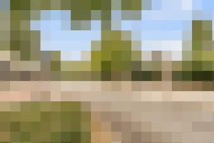 Graaf Florislaan 14 Amstelveen thumbnail 22