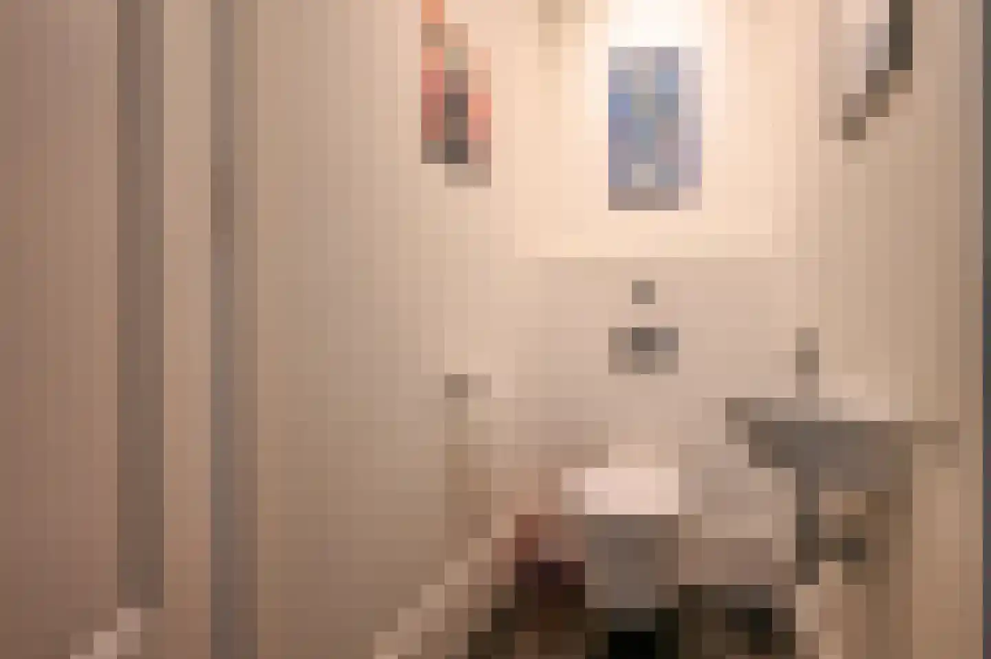 Graaf Florislaan 14 Den Haag thumbnail 11