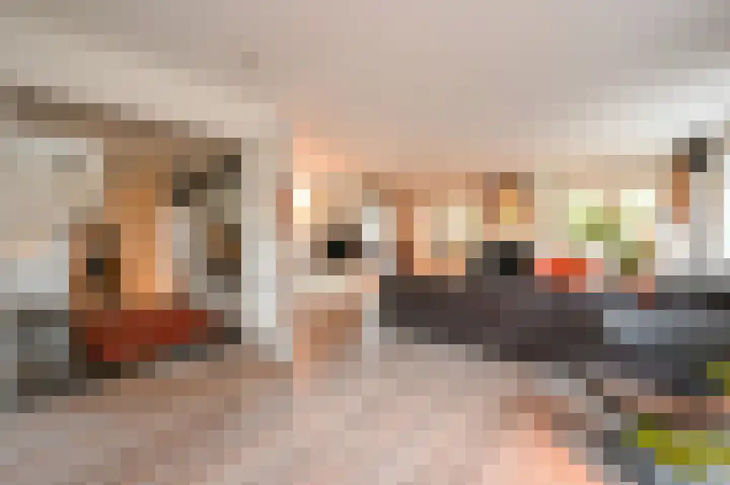 Graaf Florislaan 14 Den Haag thumbnail 14