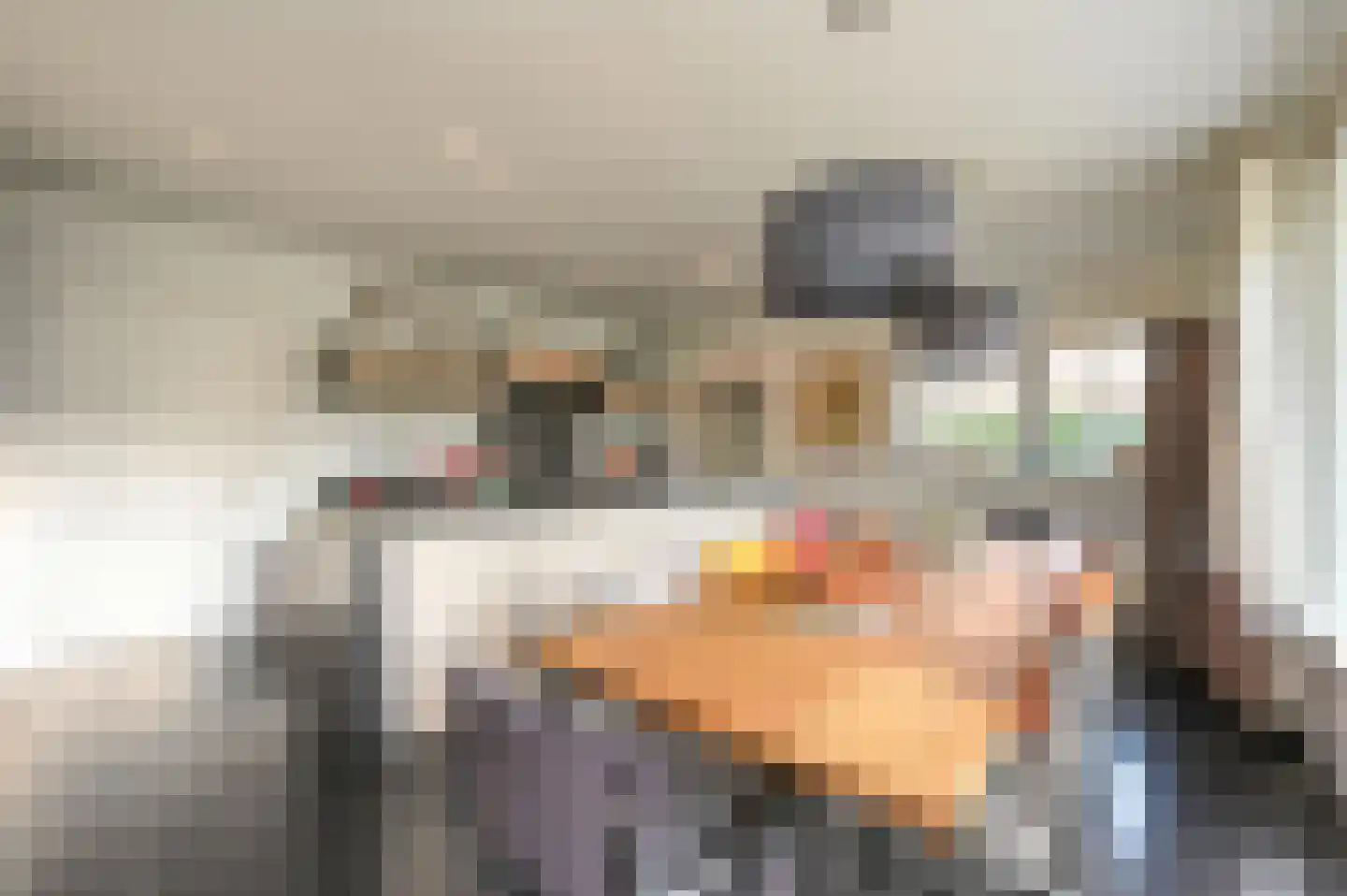 Graaf Florislaan 14 Den Haag thumbnail 18