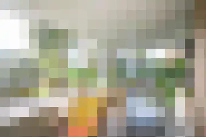 Graaf Florislaan 14 Den Haag thumbnail 23