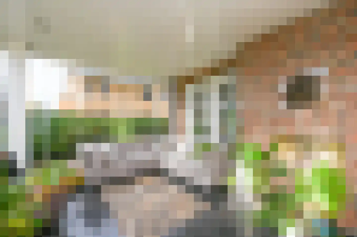 Graaf Florislaan 14 Den Haag thumbnail 24