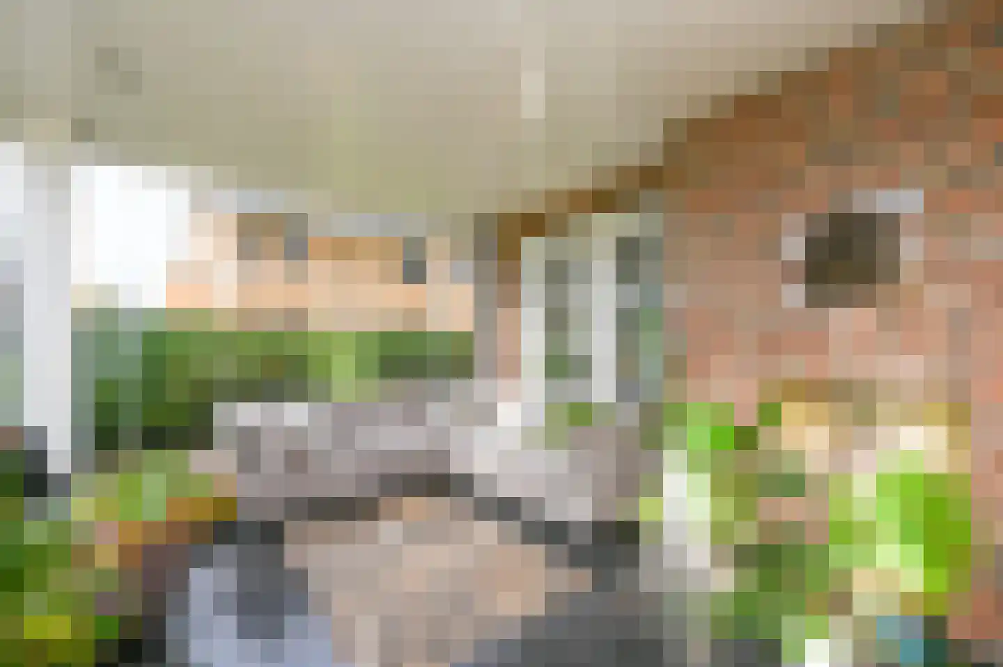 Graaf Florislaan 14 Den Haag thumbnail 24