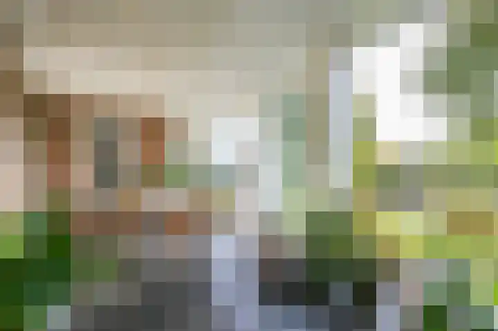 Graaf Florislaan 14 Den Haag thumbnail 25