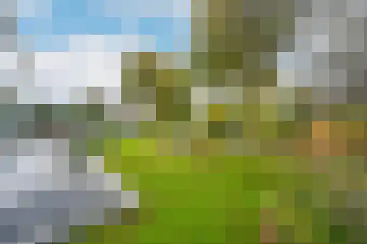 Graaf Florislaan 14 Den Haag thumbnail 27