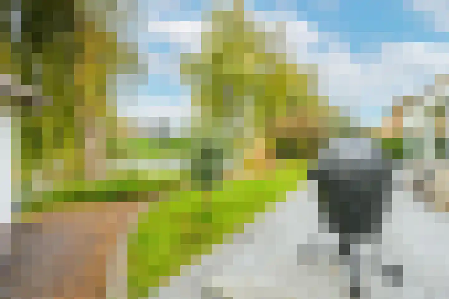 Graaf Florislaan 14 Den Haag thumbnail 29