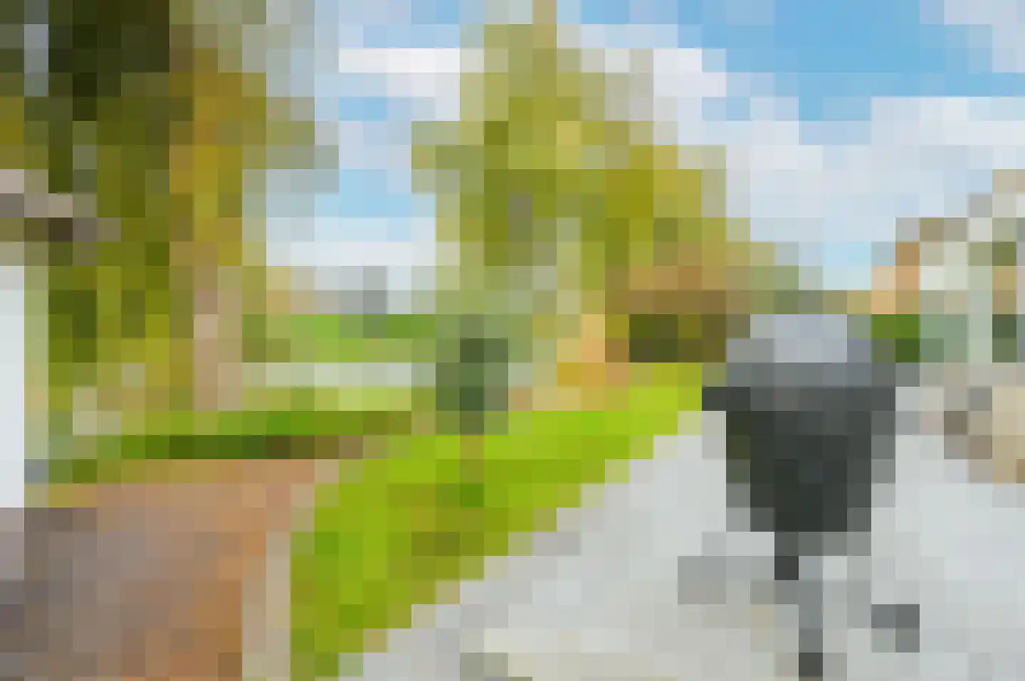 Graaf Florislaan 14 Den Haag thumbnail 29