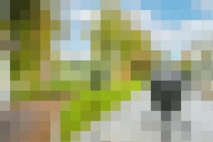Graaf Florislaan 14 Den Haag thumbnail 29