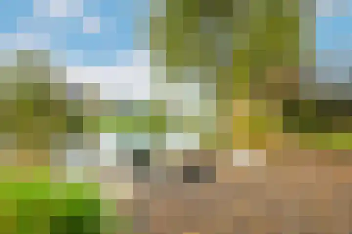 Graaf Florislaan 14 Den Haag thumbnail 30