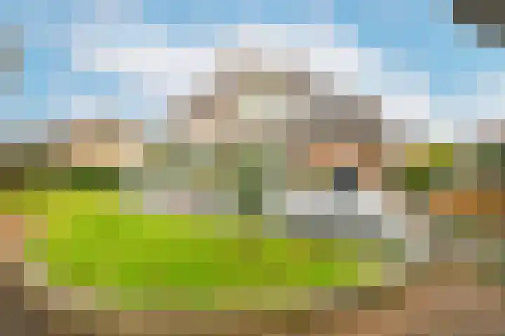 Graaf Florislaan 14 Den Haag thumbnail 35