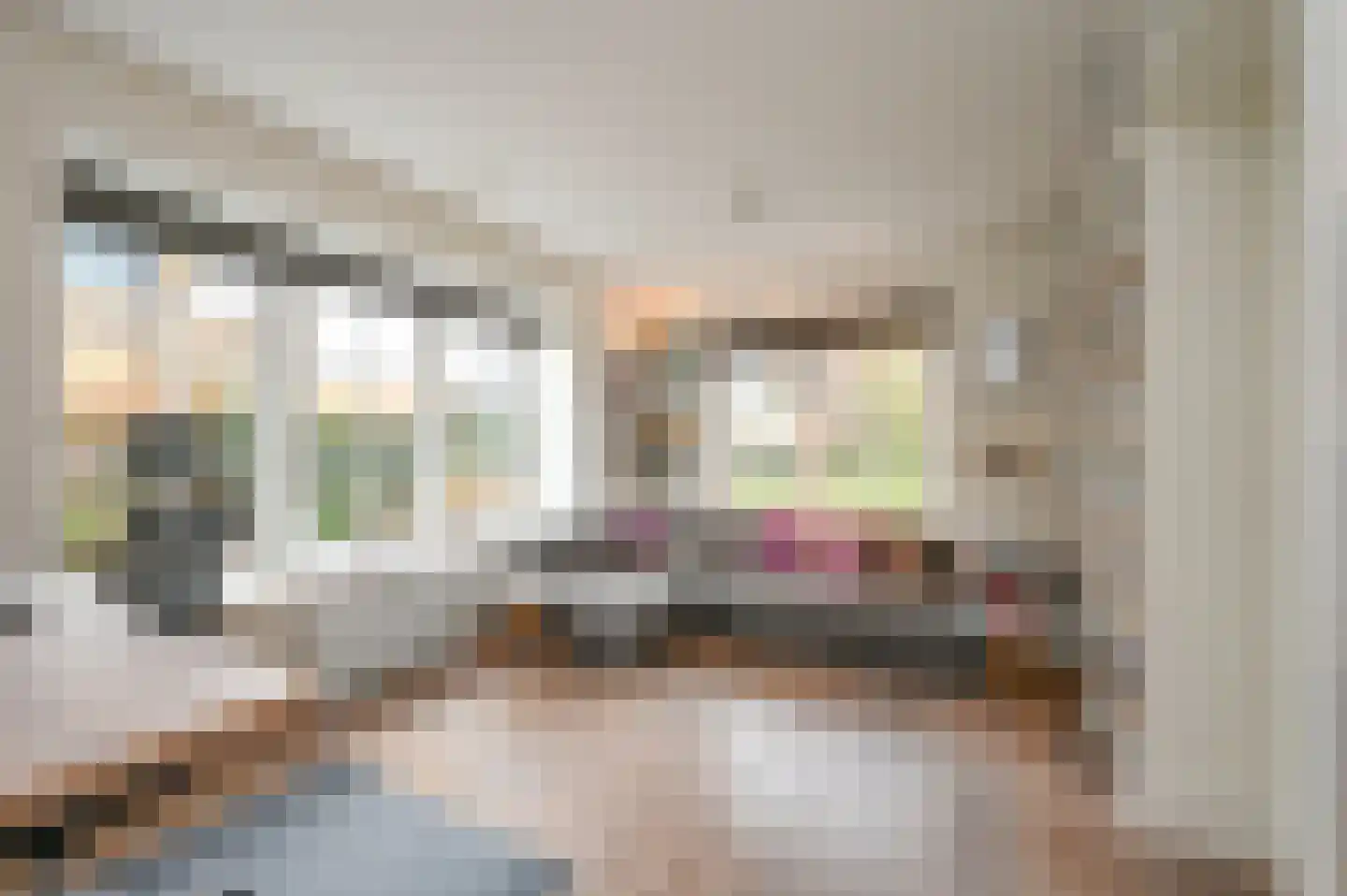 Graaf Florislaan 14 Den Haag thumbnail 44