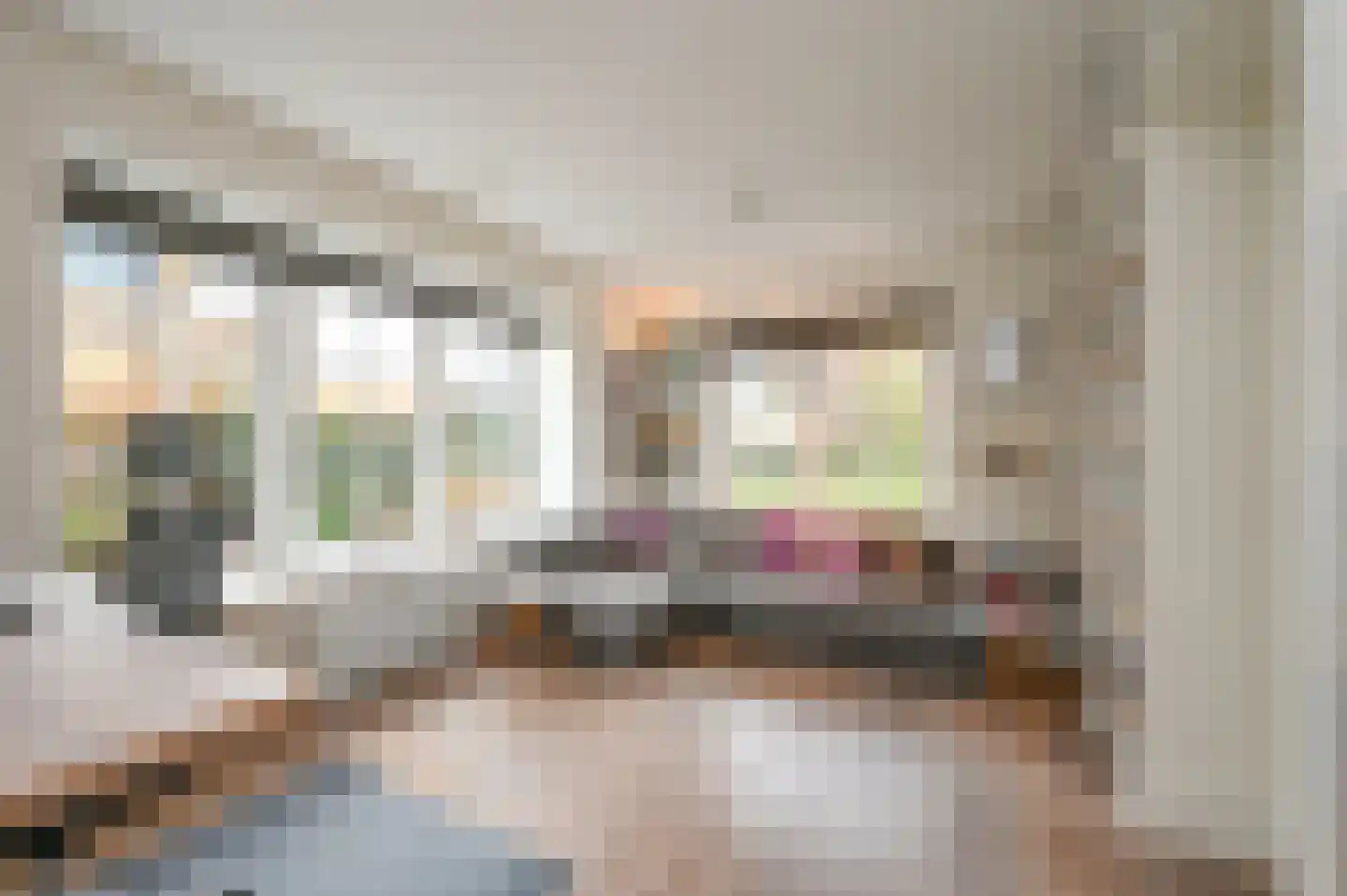 Graaf Florislaan 14 Den Haag thumbnail 44