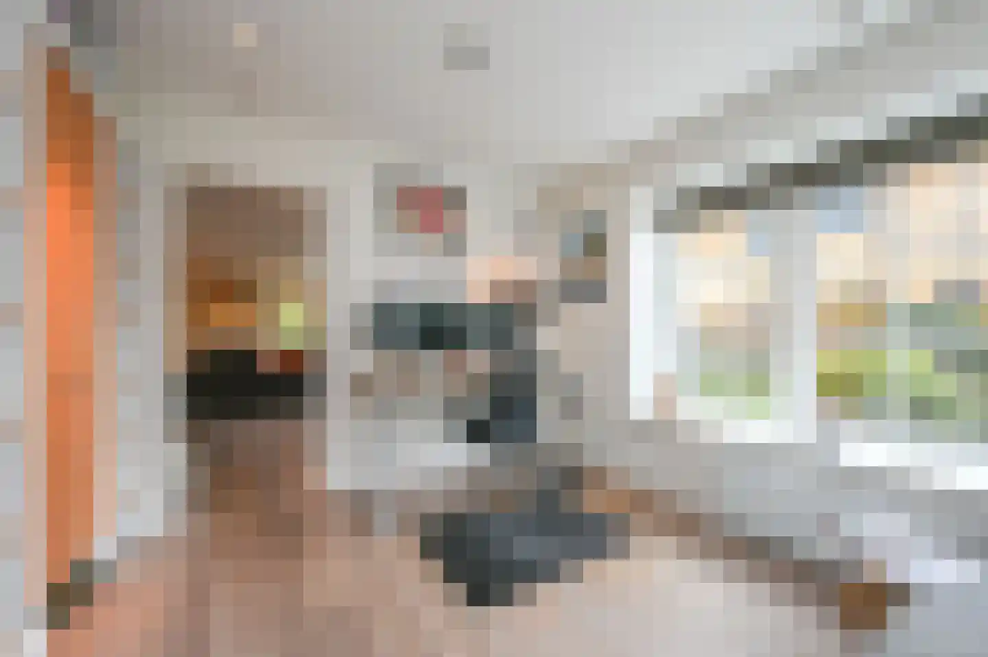 Graaf Florislaan 14 Den Haag thumbnail 45