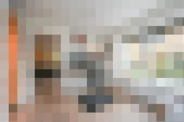Graaf Florislaan 14 Den Haag thumbnail 45