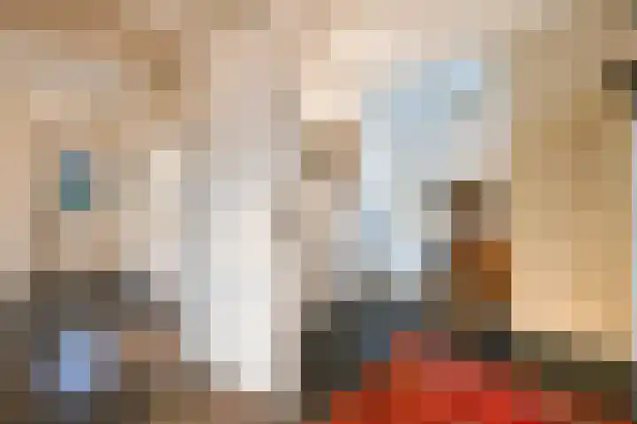 Graaf Florislaan 14 Den Haag thumbnail 47