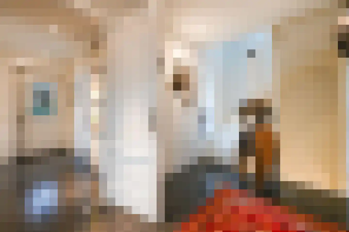 Graaf Florislaan 14 Den Haag thumbnail 47