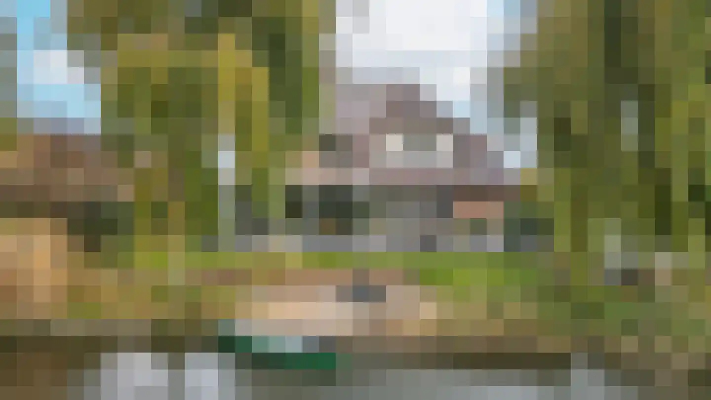 Graaf Florislaan 14 Den Haag thumbnail 5