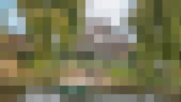 Graaf Florislaan 14 Den Haag thumbnail 5