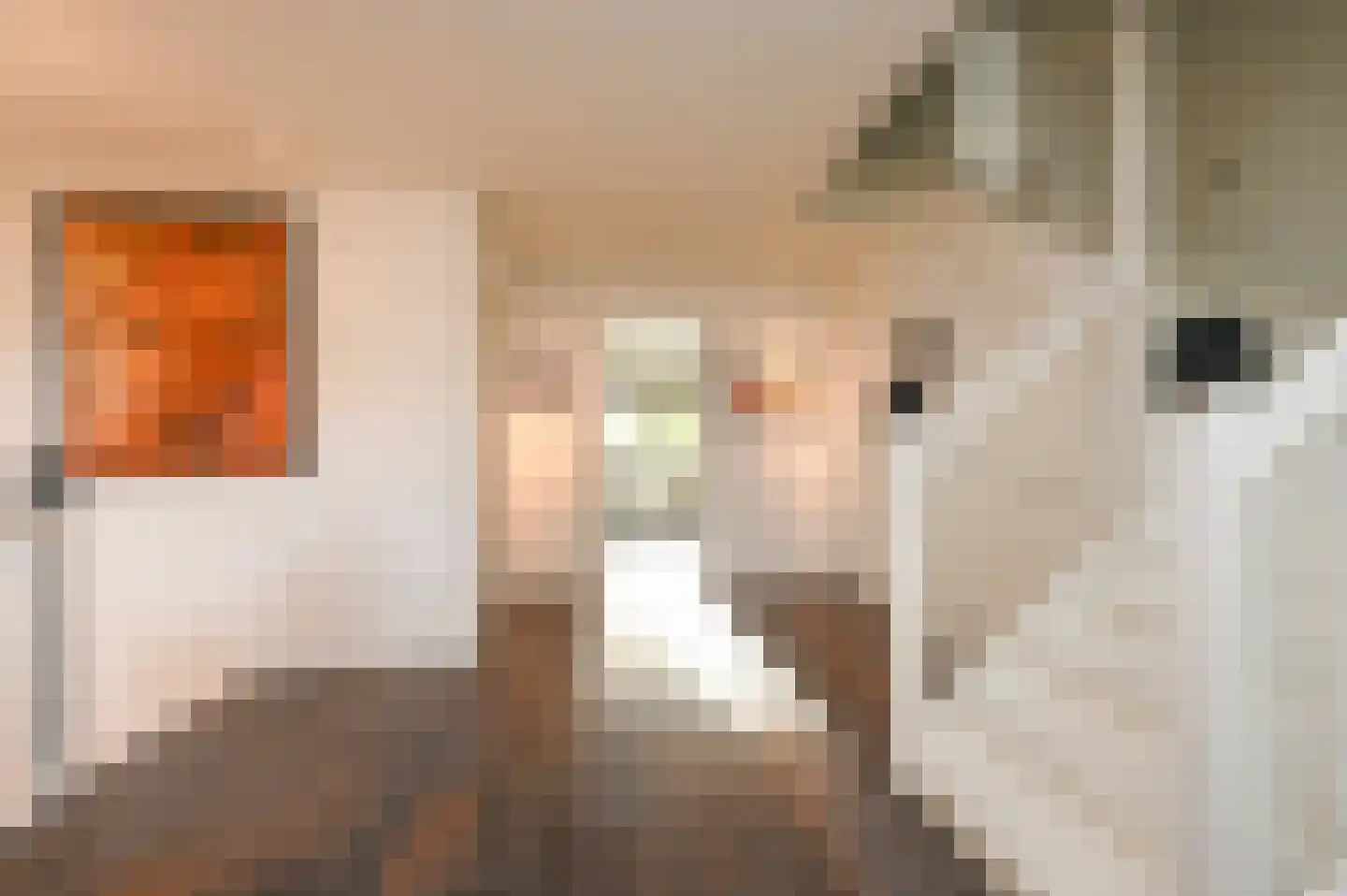 Graaf Florislaan 14 Den Haag thumbnail 56