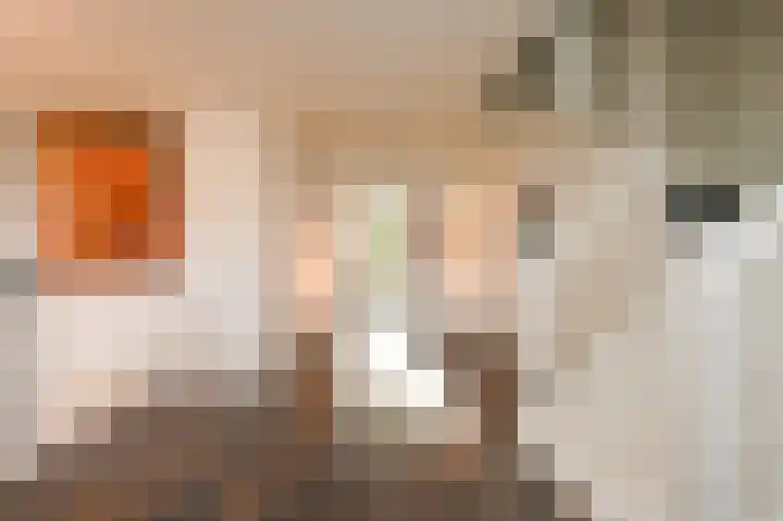 Graaf Florislaan 14 Den Haag thumbnail 56