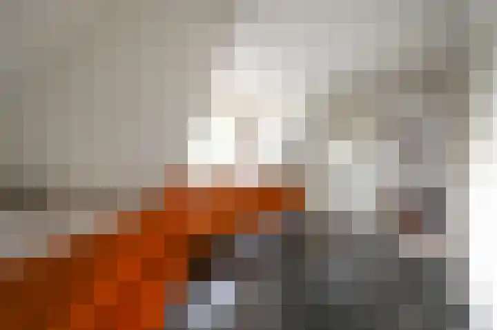 Graaf Florislaan 14 Den Haag thumbnail 66