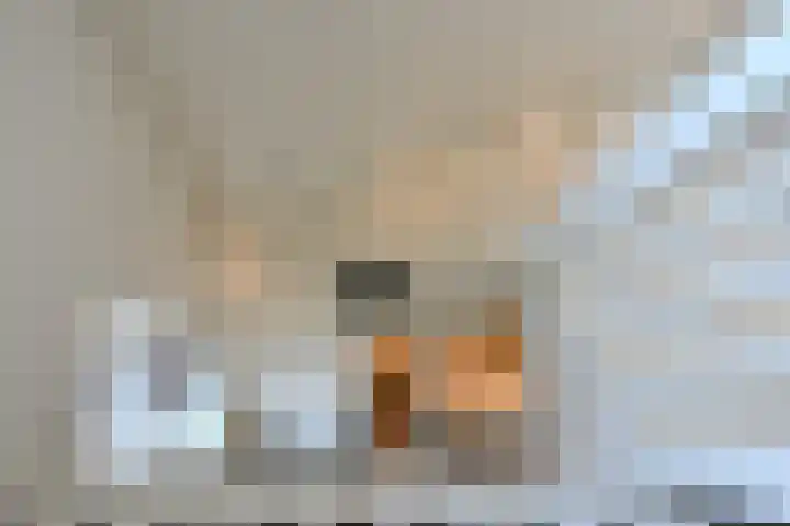Graaf Florislaan 14 Den Haag thumbnail 69