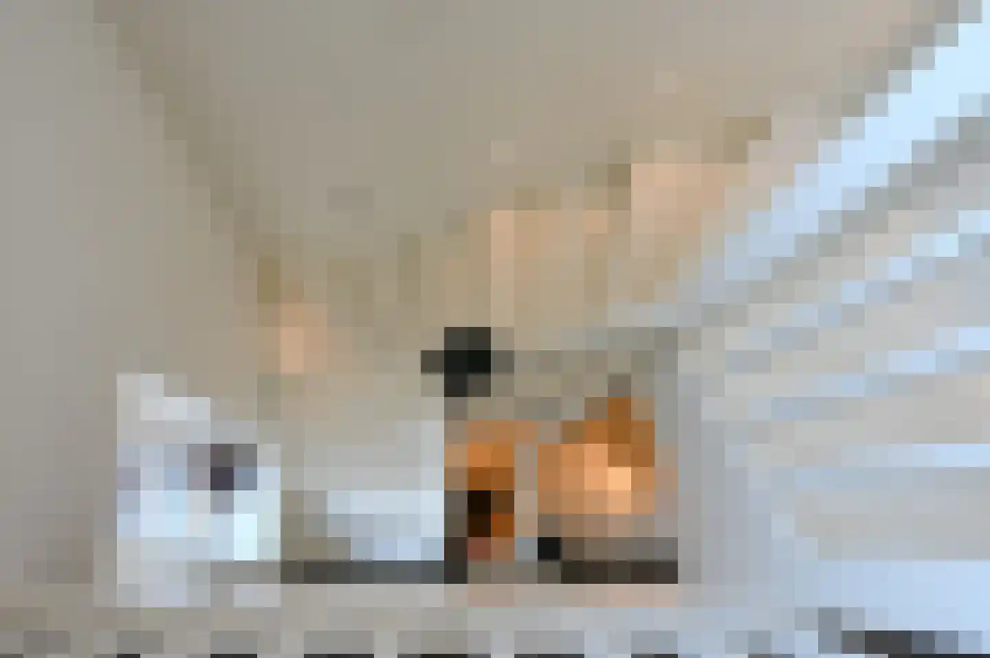 Graaf Florislaan 14 Den Haag thumbnail 69