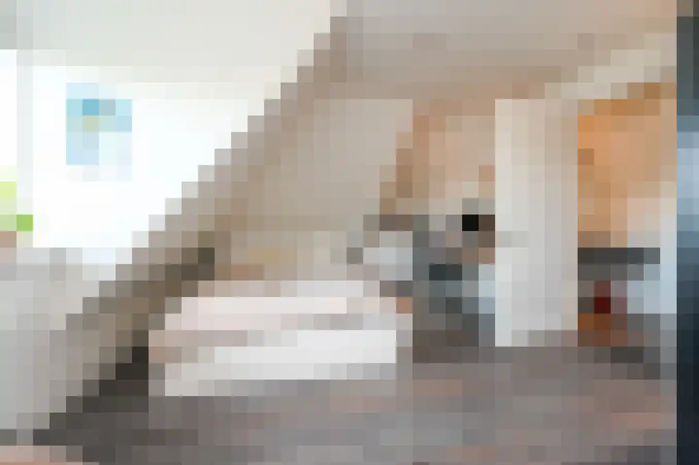 Graaf Florislaan 14 Den Haag thumbnail 74