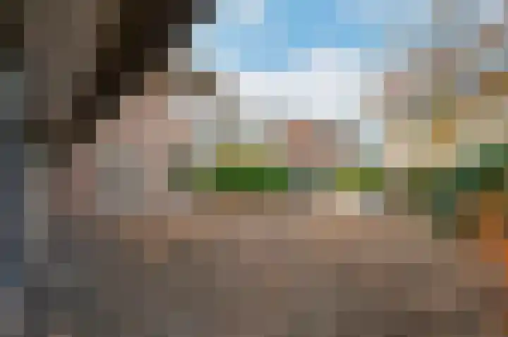 Graaf Florislaan 14 Den Haag thumbnail 81