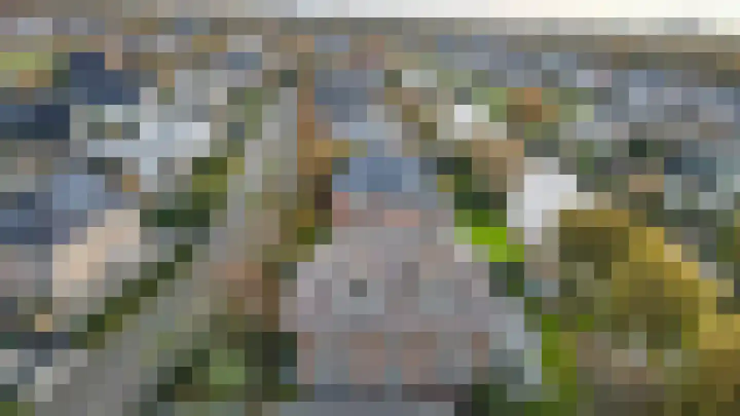 Graaf Florislaan 14 Den Haag thumbnail 82