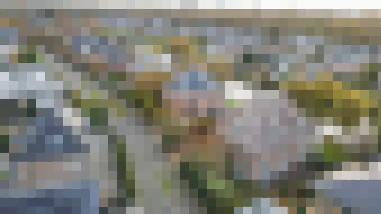 Graaf Florislaan 14 Den Haag thumbnail 83