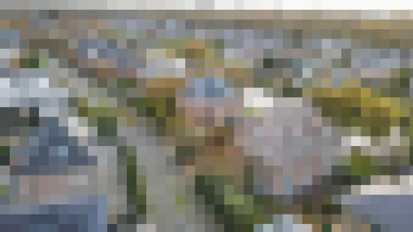 Graaf Florislaan 14 Den Haag thumbnail 83