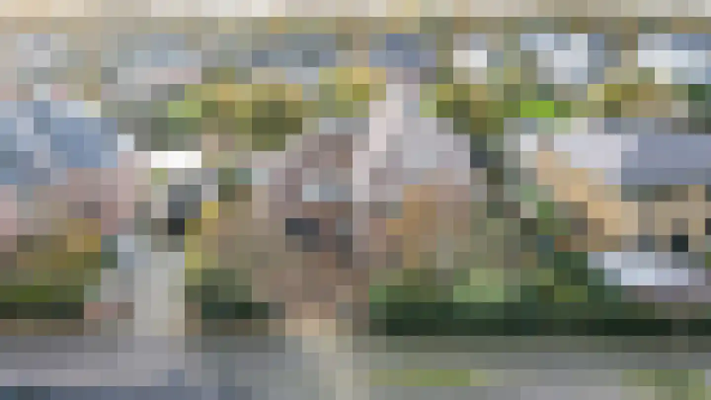 Graaf Florislaan 14 Den Haag thumbnail 84