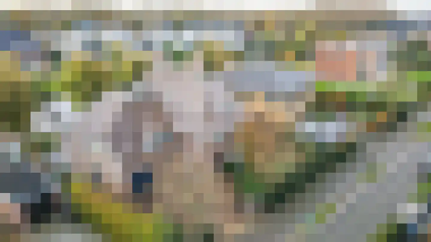 Graaf Florislaan 14 Den Haag thumbnail 85