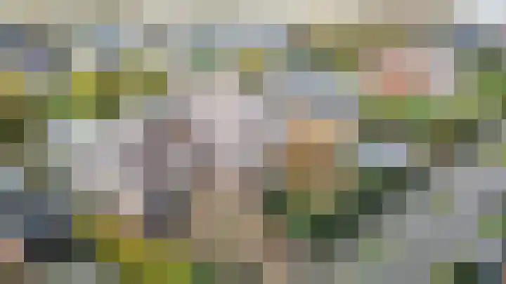 Graaf Florislaan 14 Den Haag thumbnail 85