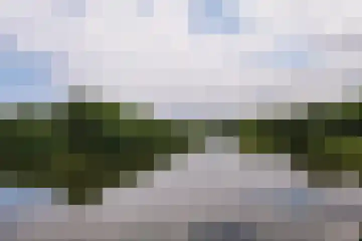 Graaf Florislaan 14 Den Haag thumbnail 91