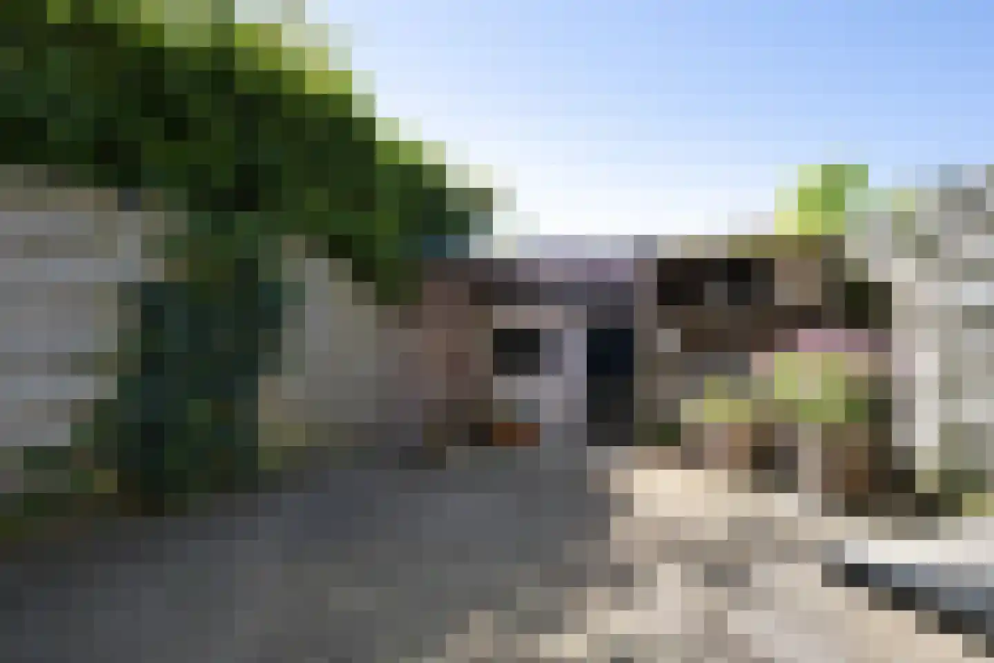 Graaf Florislaan 2 a Vogelenzang thumbnail 23