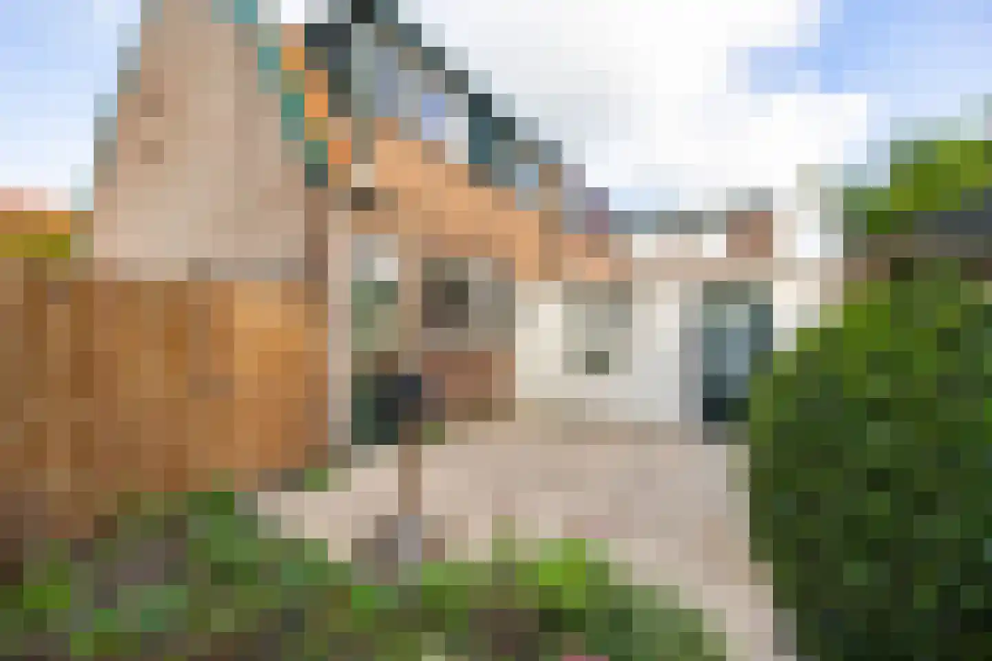 Graaf Florislaan 27 Vogelenzang thumbnail 20