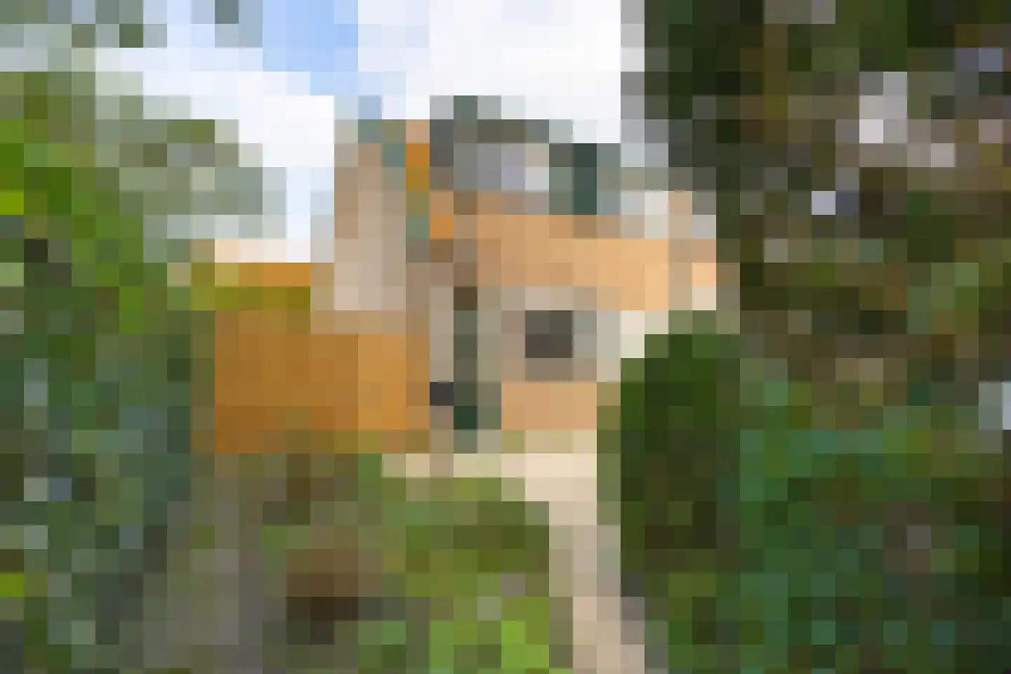 Graaf Florislaan 27 Vogelenzang thumbnail 21